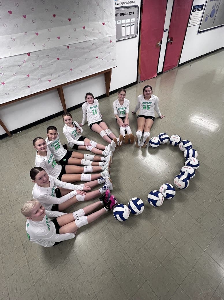 Hearts with volleyballs